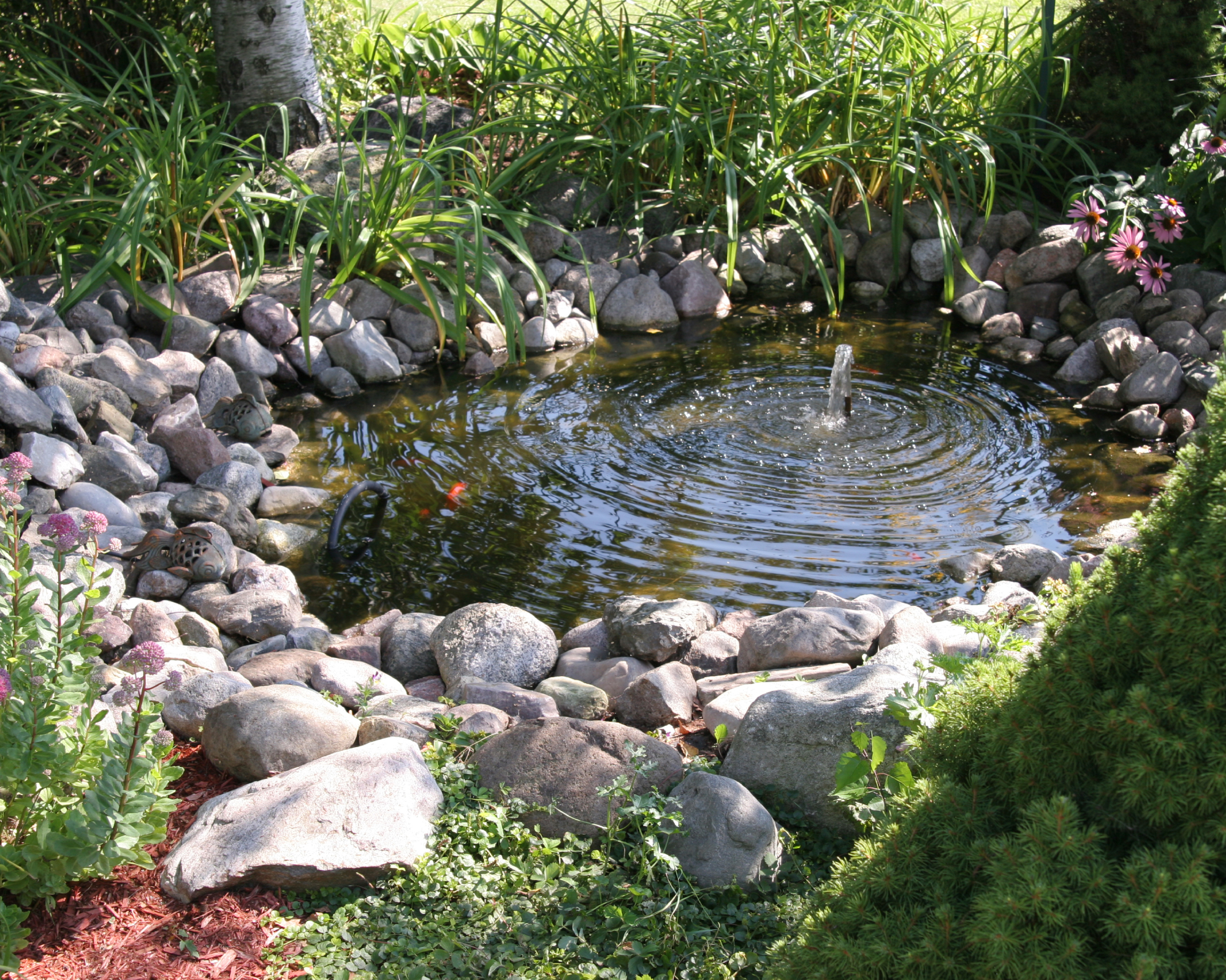 Small pond with solar water fountain in a wildlife garden, surrounded by pebbles