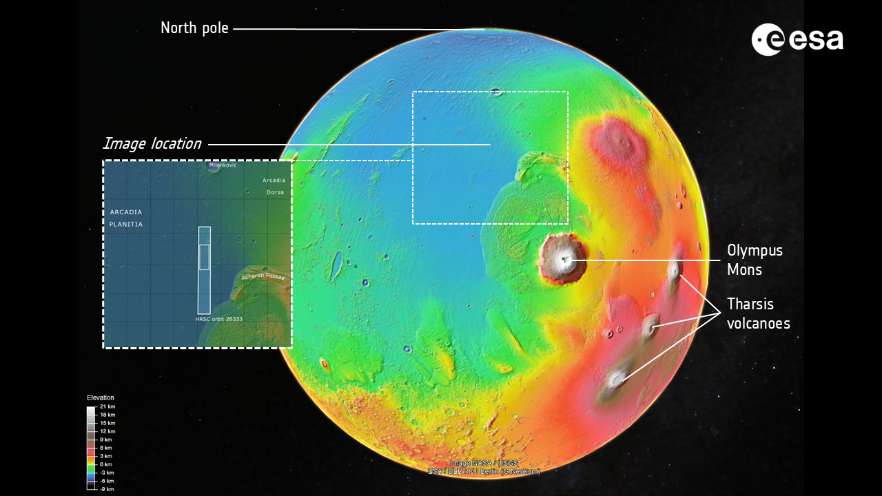 A global simulation of Mars pinpoints Arcadia Planitia.