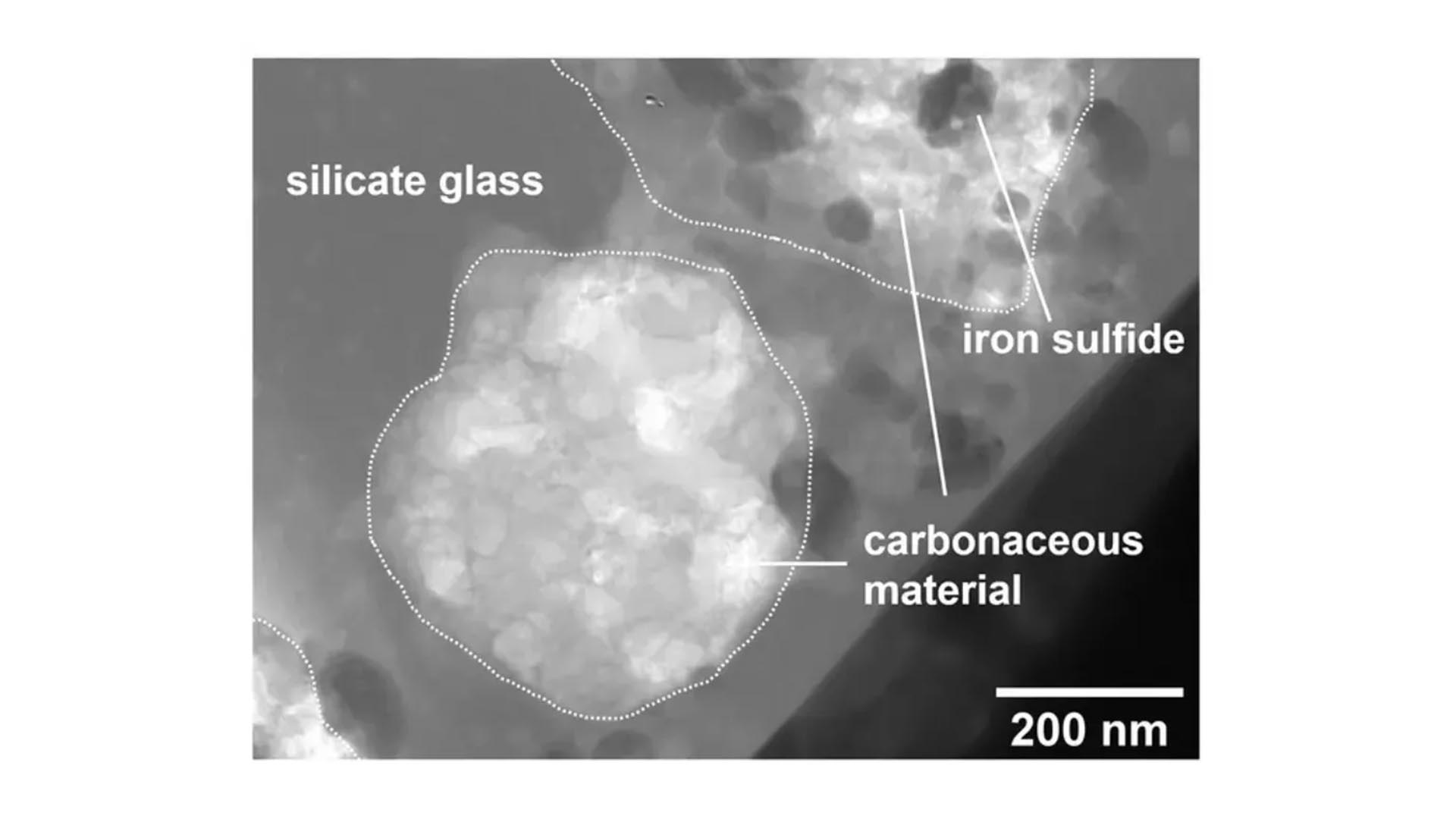 A CT scan shows carbonaceous material found in the melt splash from Ryugu.