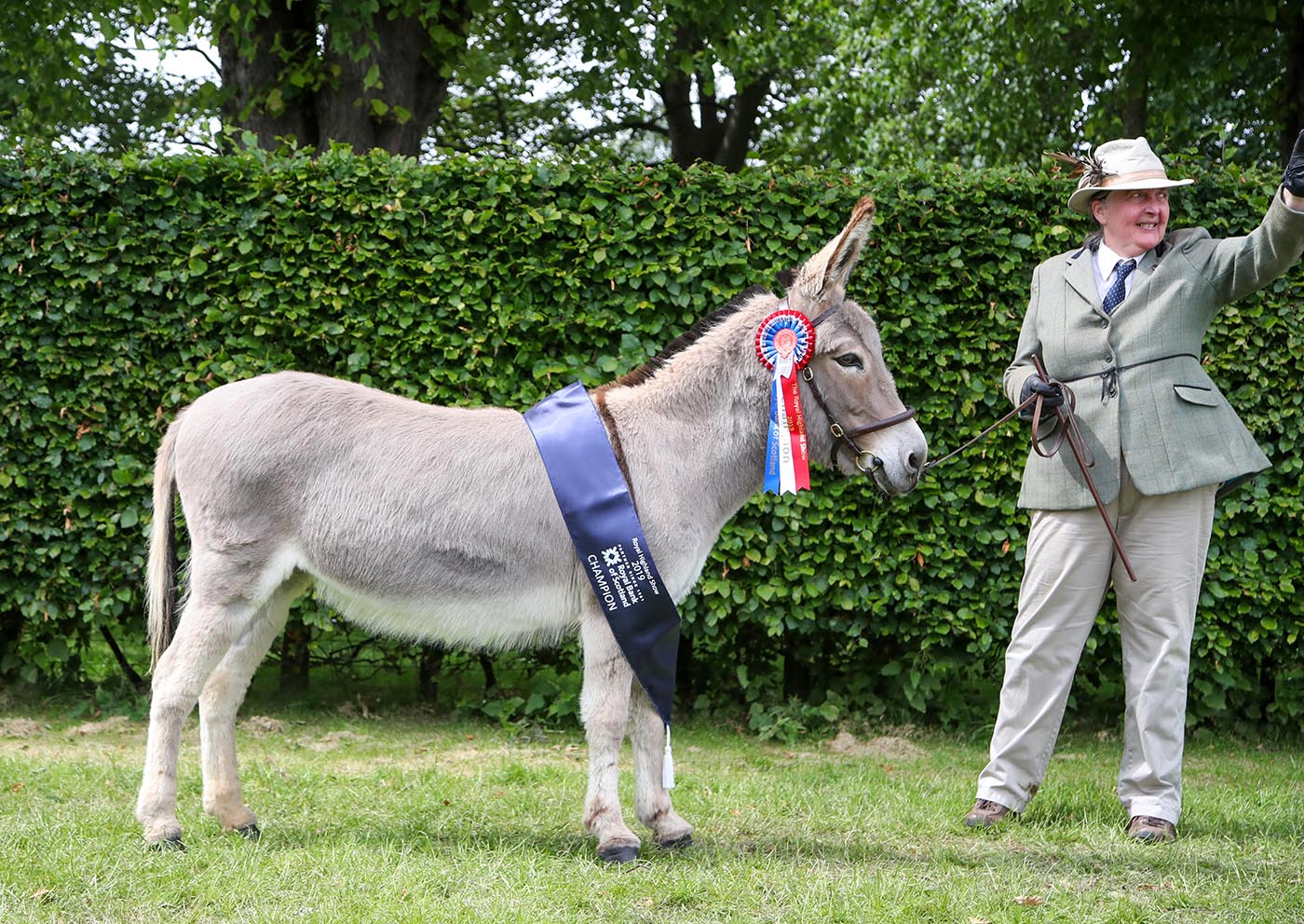 Royal Highland Show 2019