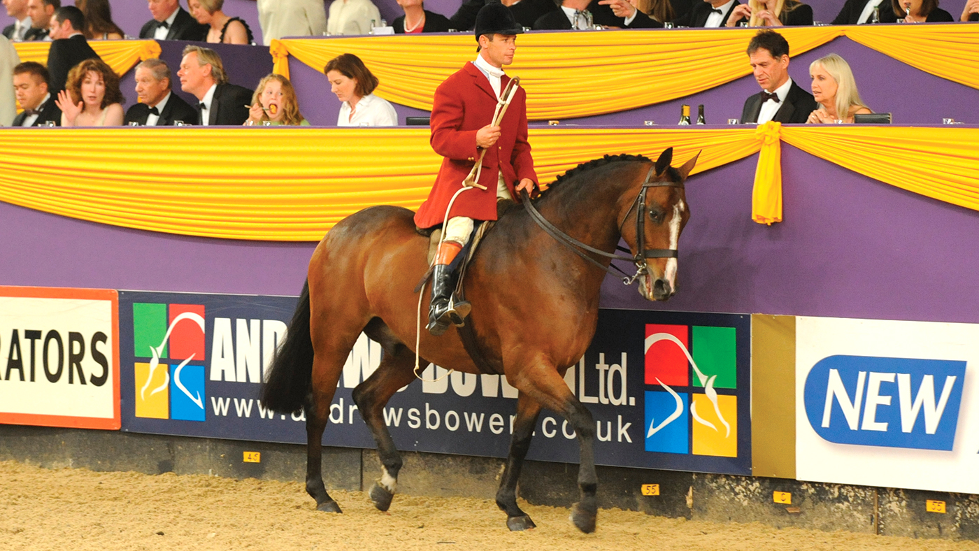 Top show horse Finn McCool become a brilliant huntsman&rsquo;s horse for Guy Landau
