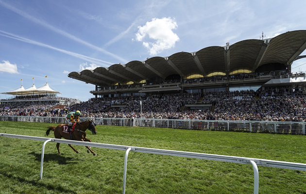 tickets on sale for Goodwood and York Ebor festivals