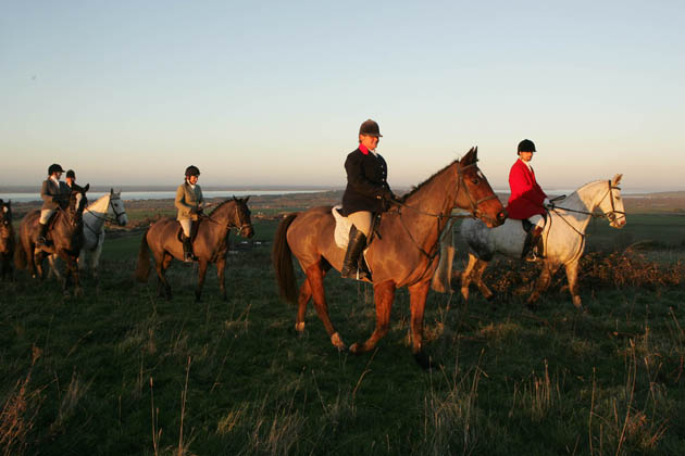 I.O.W. Hunt Dec 2014