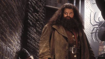 Robbie Coltrane in Harry Potter