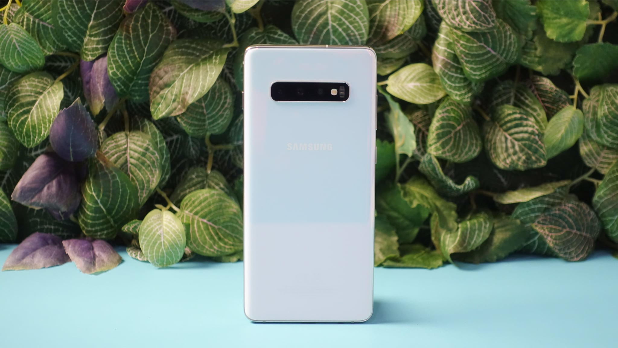 A Samsung Galaxy S10 Plus in white, from the back, with foliage behind it