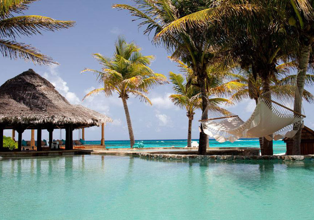 beach with coconut trees
