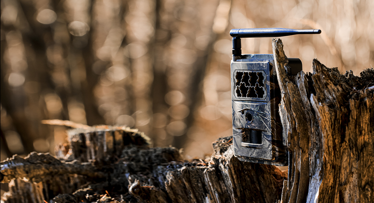 best photo viewer for trail camera