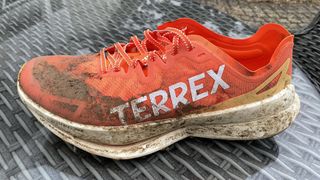 muddy, used adidas Terrex Agravic Speed Ultra running shoes