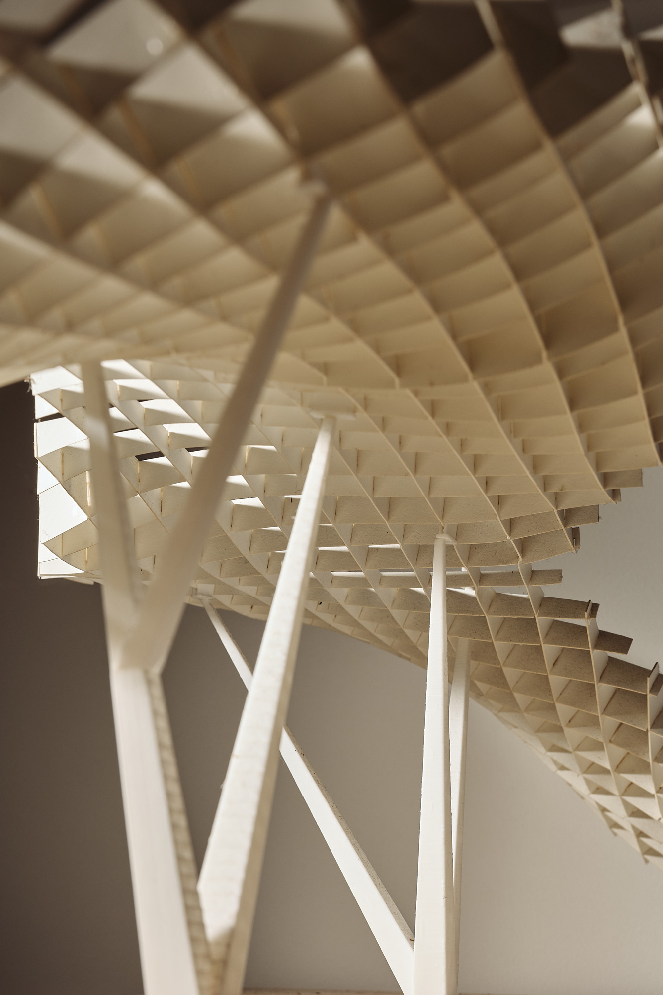 work and interior of office of landscape architect Walter Hood