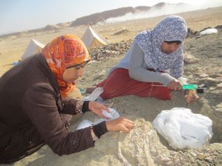 Students Mai El-Amir and Sara Saber excavate ribs and other bones of the new titanosaurian dinosaur Mansourasaurus shahinae in the Sahara Desert of Egypt. The team’s field tents are visible in the background.
