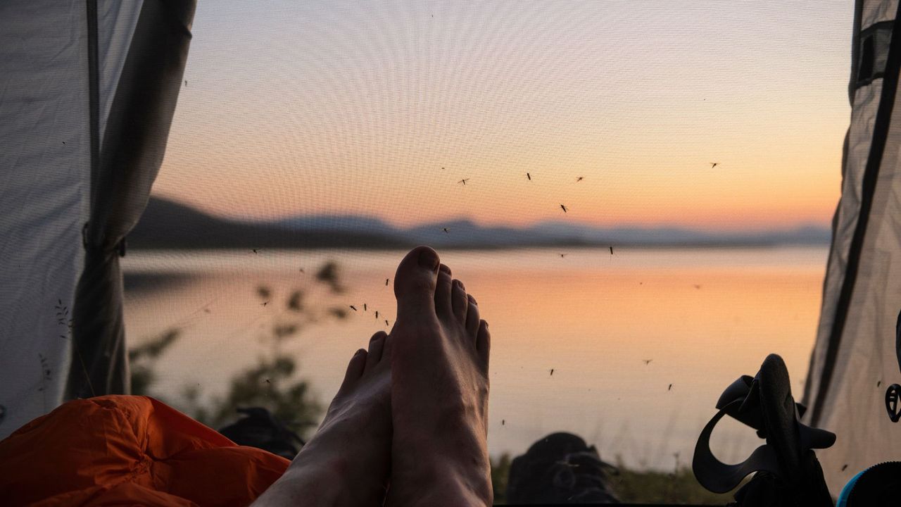 A man lying in a tent with bugs flying around his feet