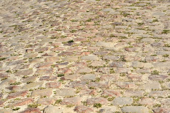 The cobbles of Orchies are quite different from those of Arenberg