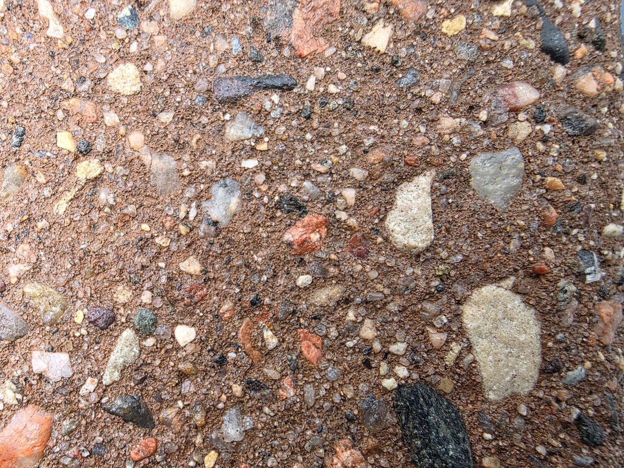 Samsung Galaxy S25 Ultra macro sample.