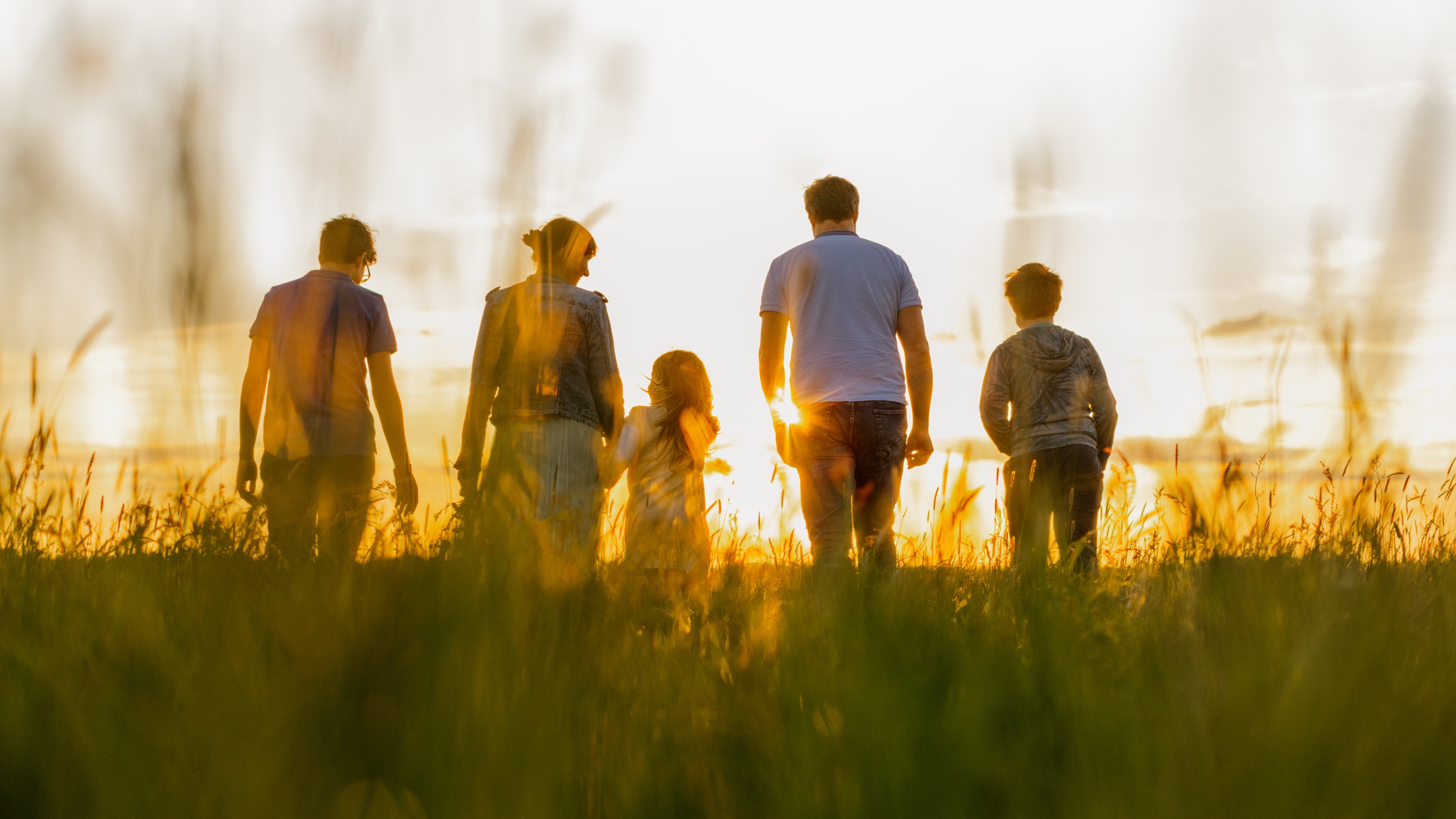 A family walking toward the sunset in a field.