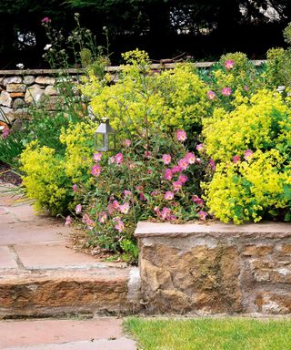 tiered garden with bright planting