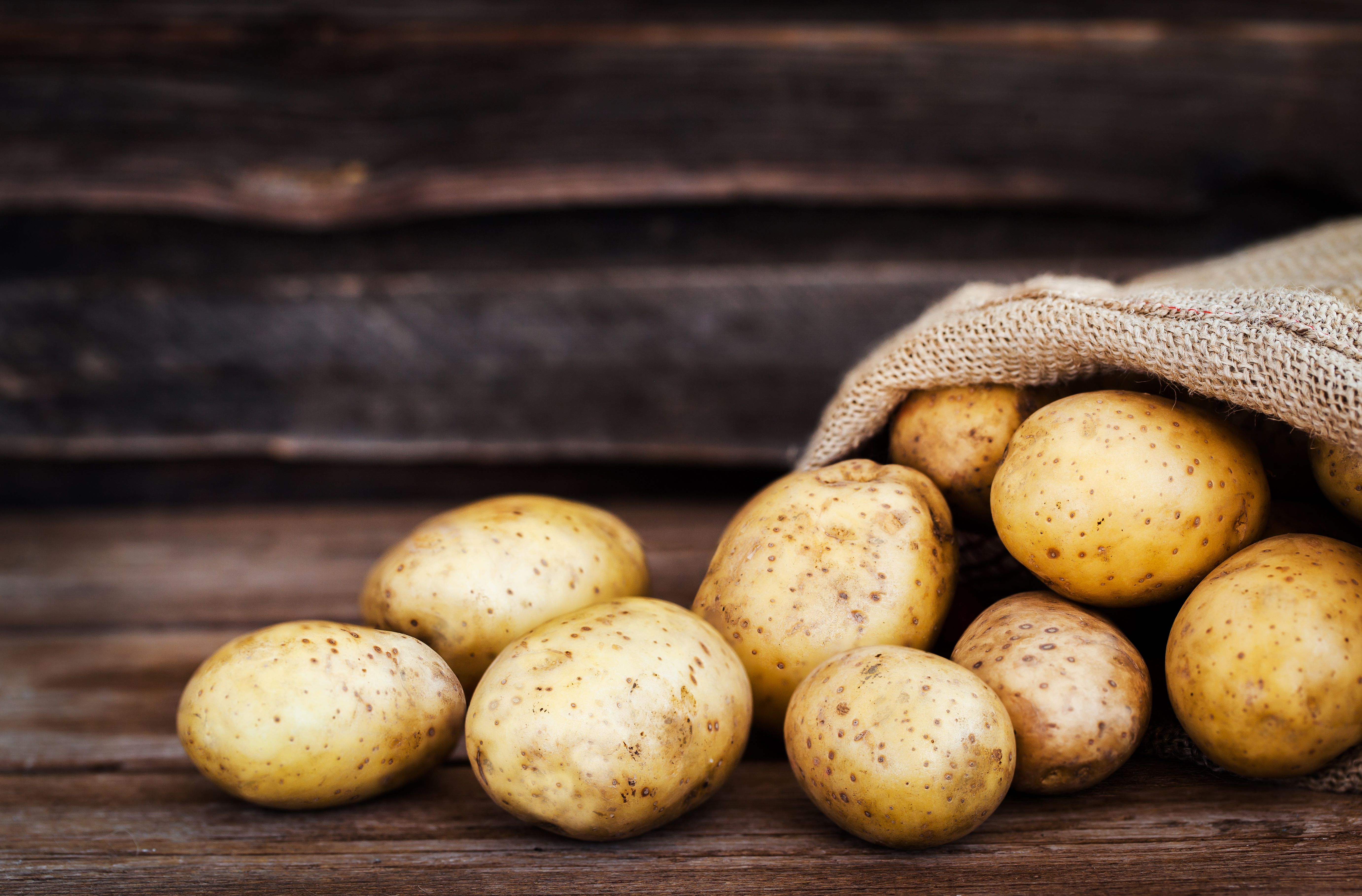 potato diet