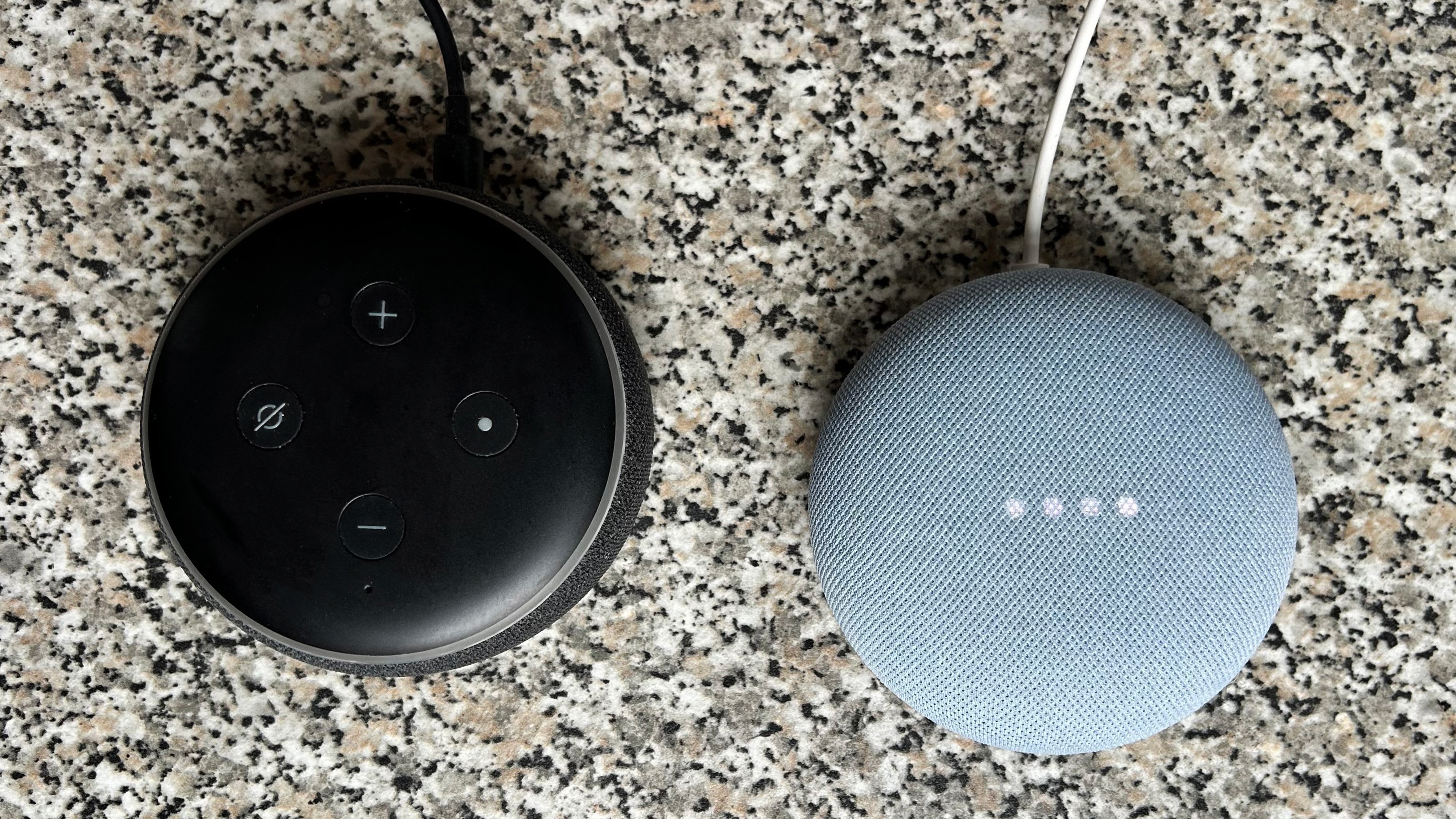 Amazon Echo Dot and Google Nest Mini