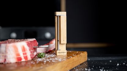 Meater review: The smart meat thermometer that will help you cook the  perfect meal
