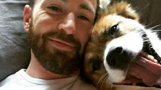 Chris Evans dog Dodger poses with the actor