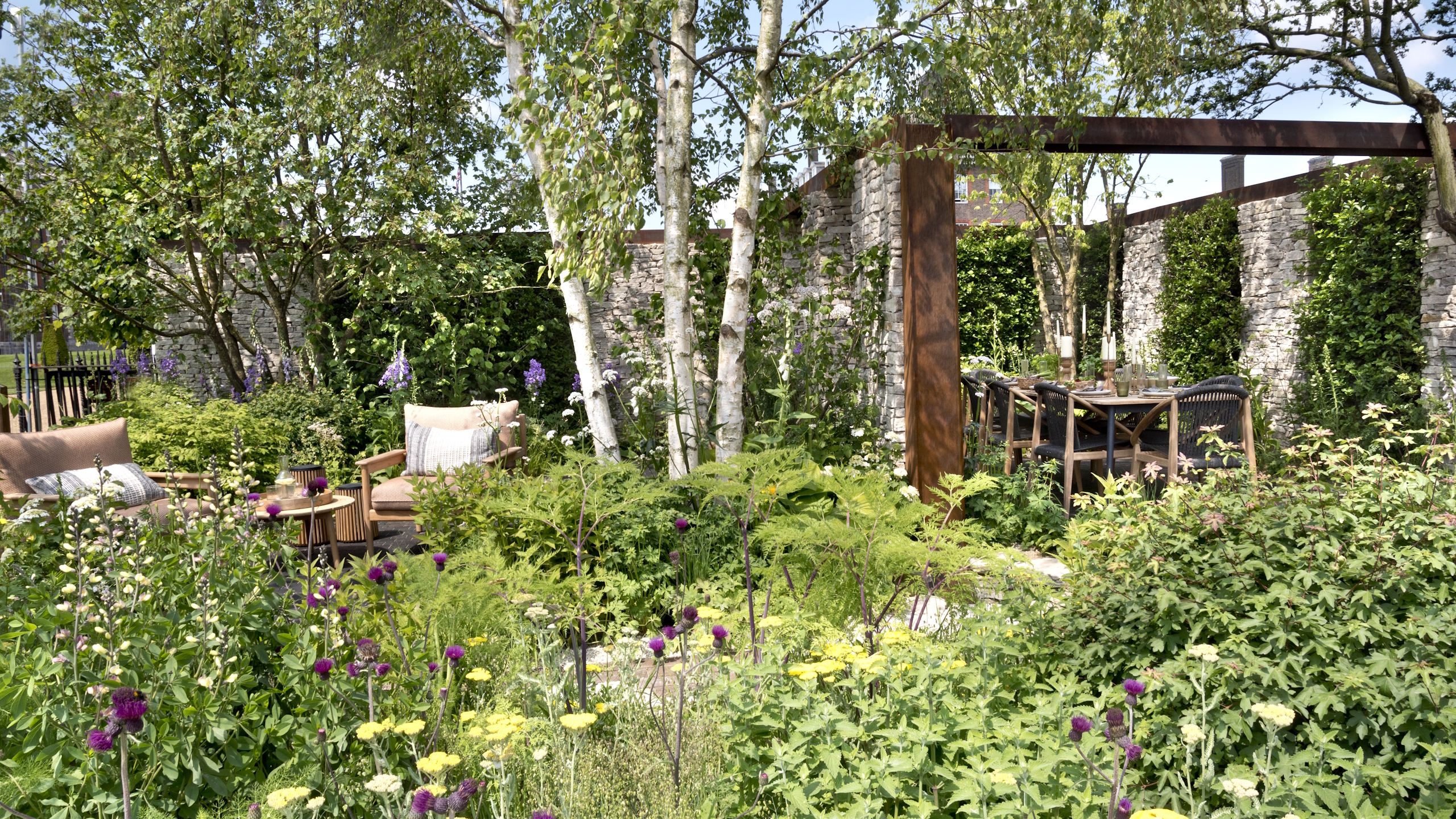A show garden with birch trees, shrubs, and perennials at the Chelsea Flower Show