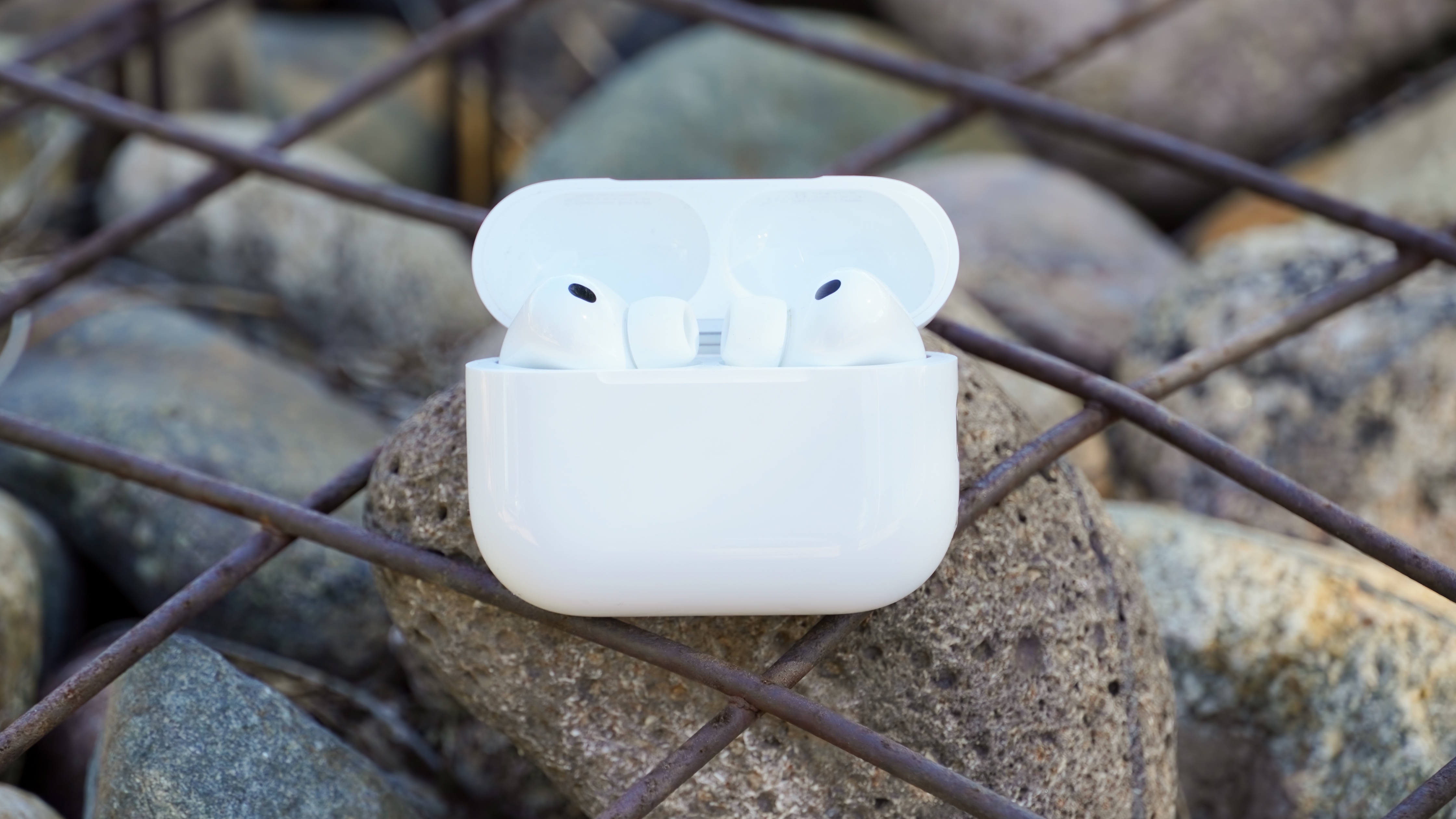 The AirPods Pro 3 with their charging case at a park. 