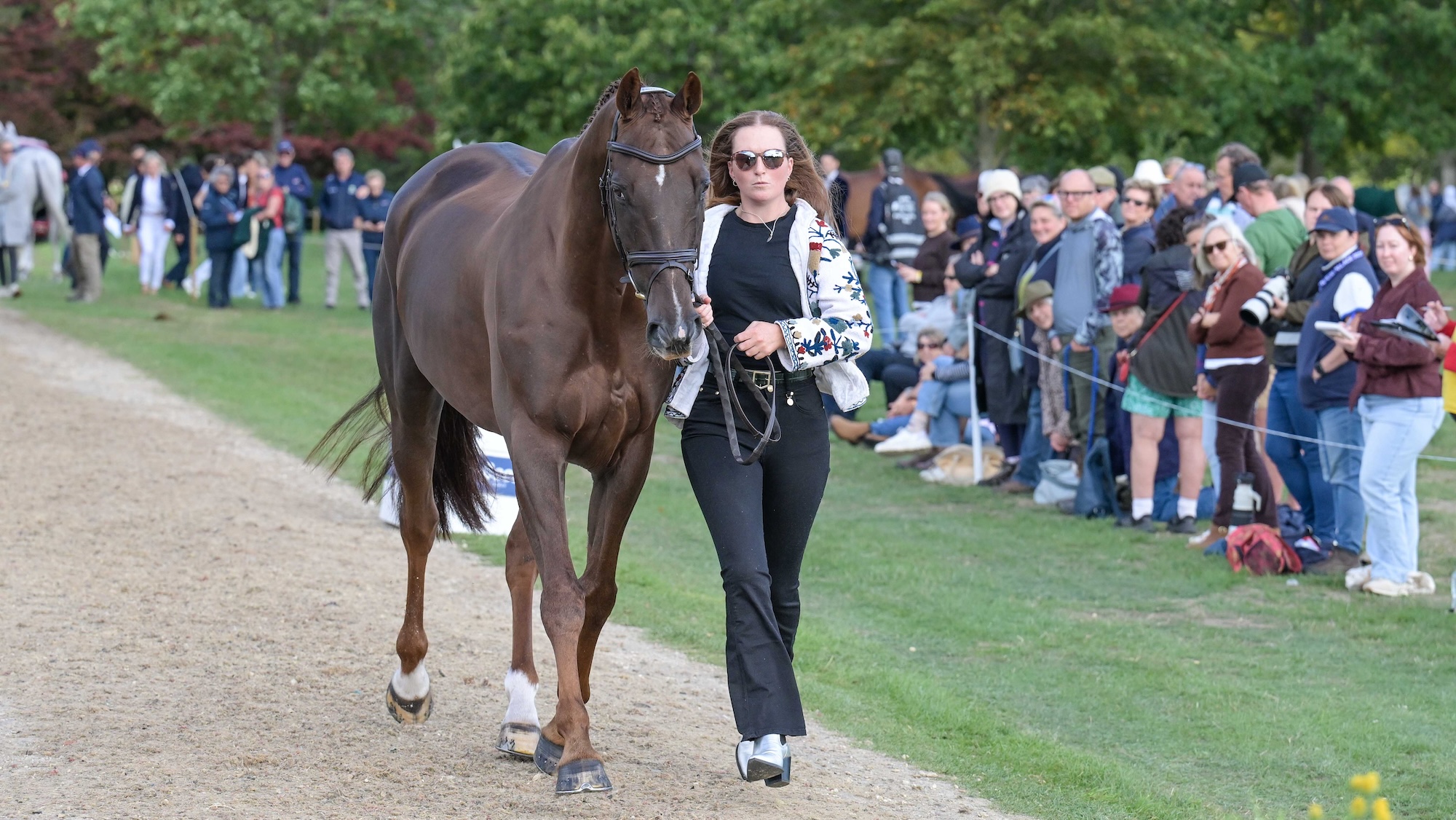 Susie Berry (IRL) and John The Bull in CCI4*- L during the first trot up at the Agria Blenheim Palace International Horse Trials held in the grounds of Blenheim Palace 16-20th September 2026