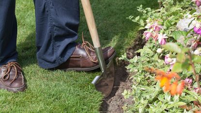 edging a lawn with a manual lawn edger