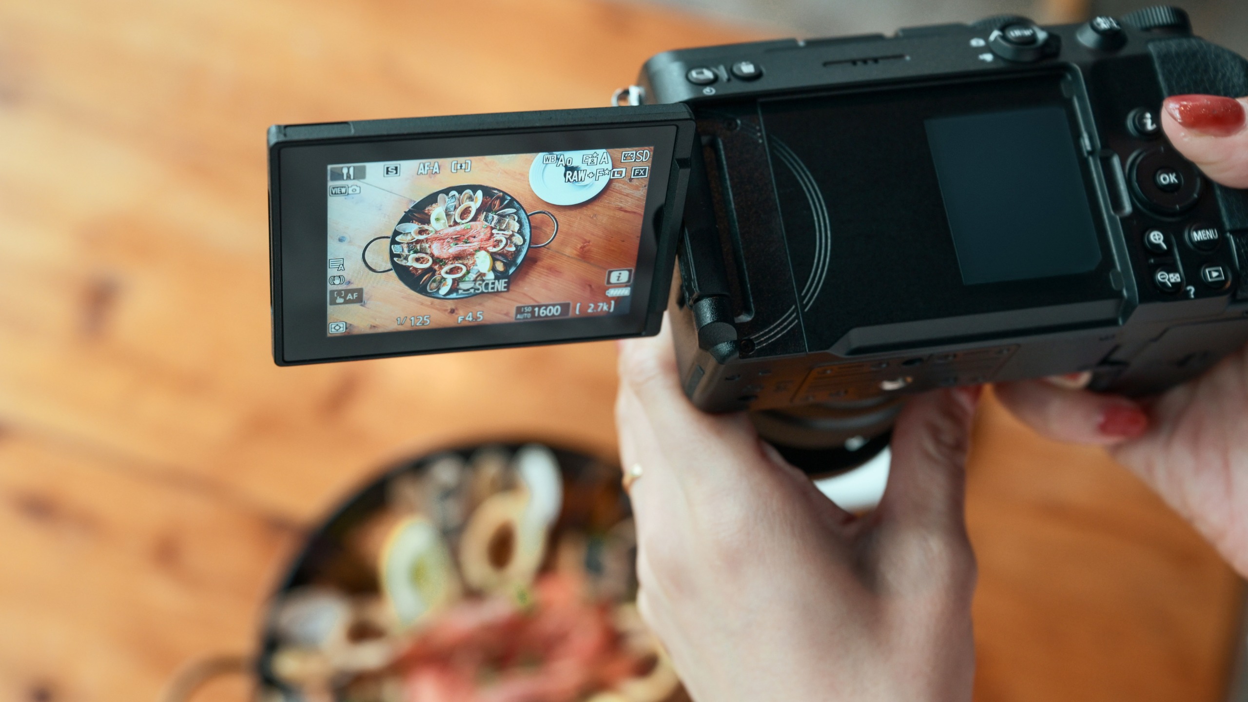 Nikon Z5IIC