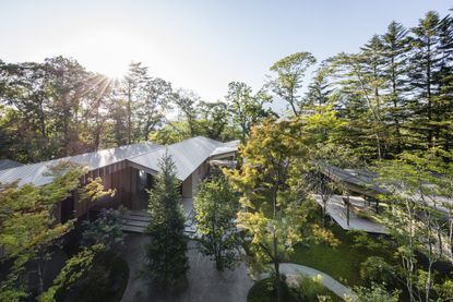 Wild Bird Forest Lodge, Kengo Kuma
