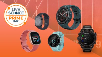 best Prime Day fitness tracker deals