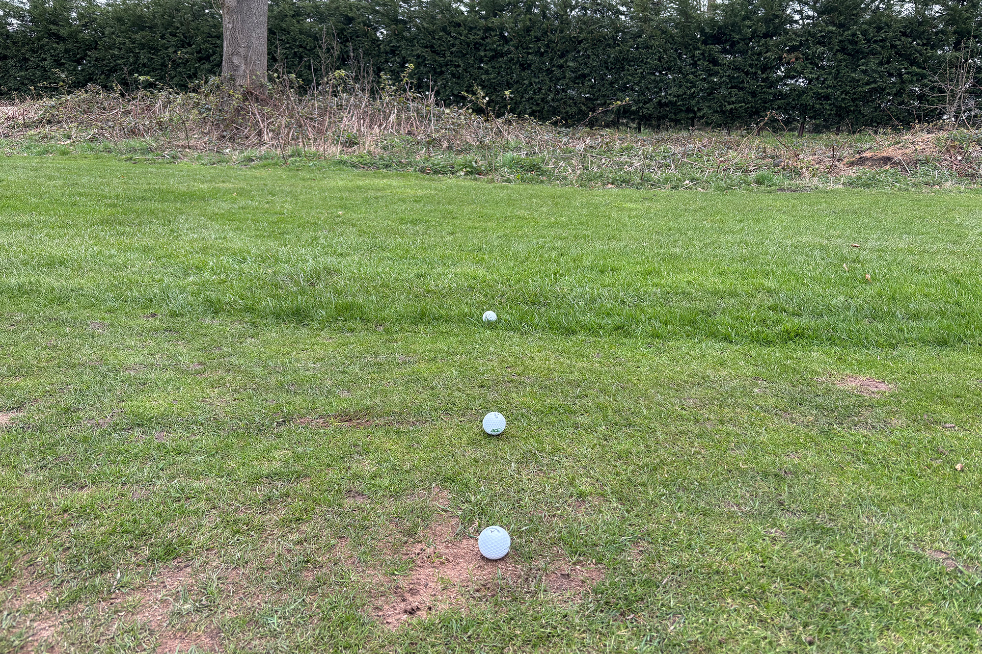 Three different lies in golf, including a good lie, a 'gooseberry' lie and a 'scabby' lie