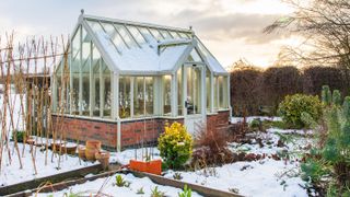 what to grow in your greenhouse in winter