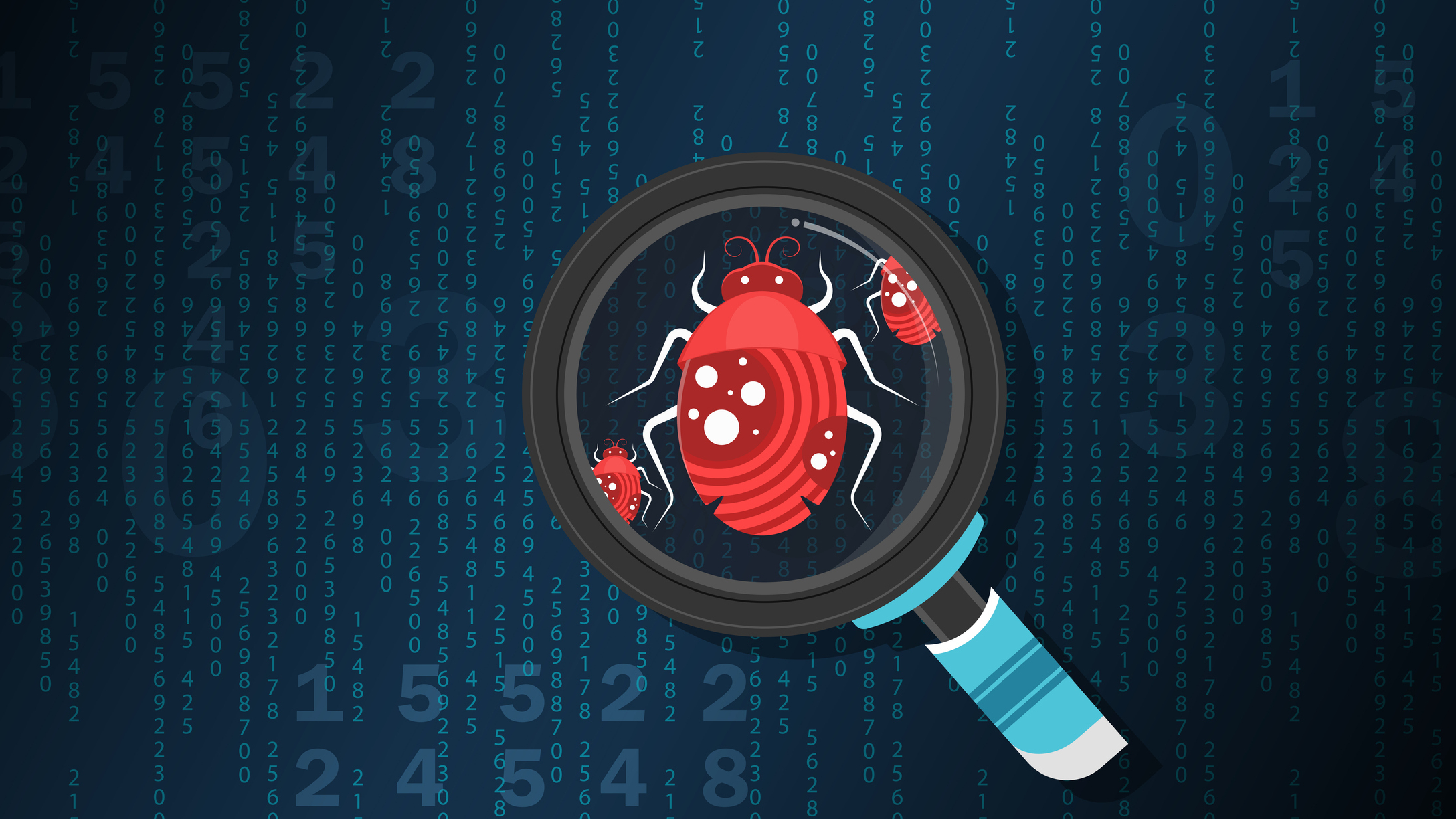 Software bug