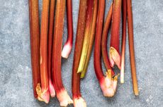 rhubarb wine