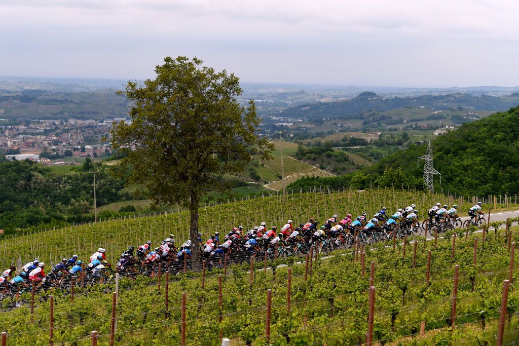CANALE ITALY MAY 10 The peloton passing through Piancanelli 522m vineyard landscape during the 104th Giro dItalia 2021 Stage 3 a 190km stage from Biella to Canale girodiitalia Giro on May 10 2021 in Canale Italy Photo by Tim de WaeleGetty Images