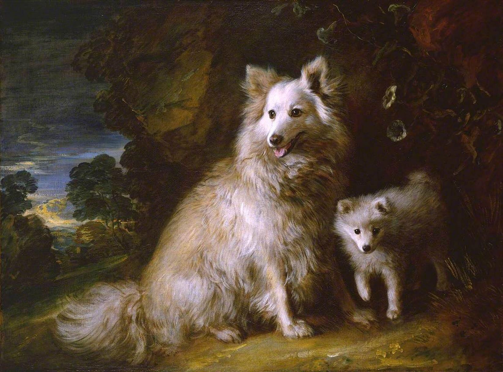 Thomas Gainsborough's painting Pomeranian Bitch and Puppy depicts a large, fluffy cream-coloured dog sitting beside her small puppy beneath a tree, with a wooded landscape beyond.