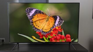 Amazon Omni Mini-LED with butterfly on screen 2