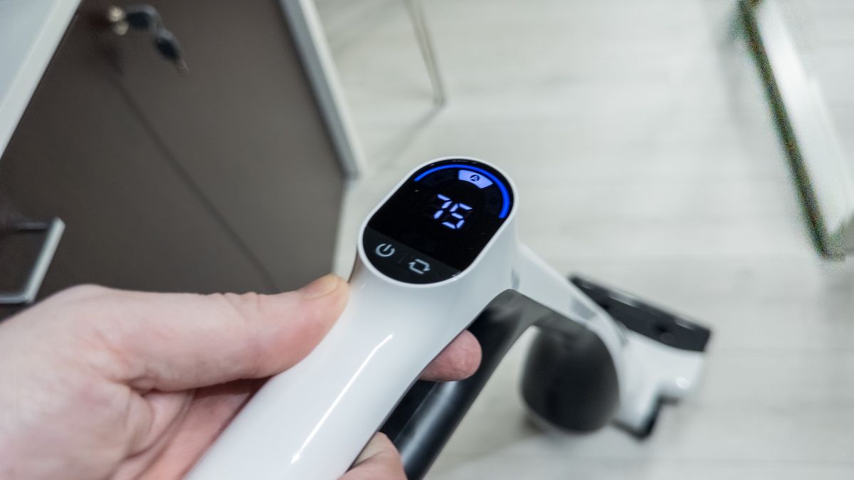Roborock Flexi Lite