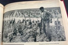 Decanter January 1976 issue