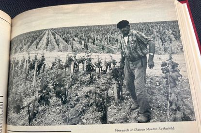 Decanter January 1976 issue