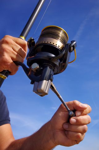 mackerel fishing reel