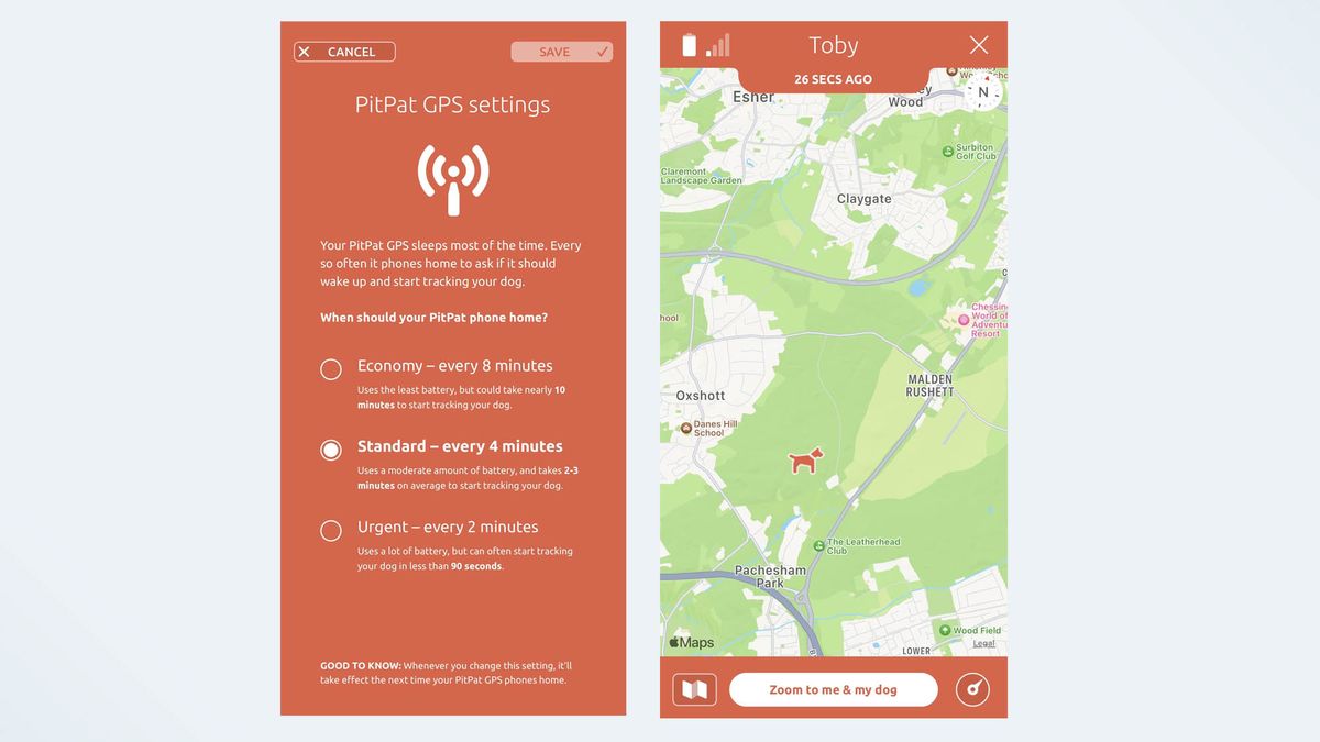 I put a GPS tracker on my dog — here's how far he ran Tom's Guide