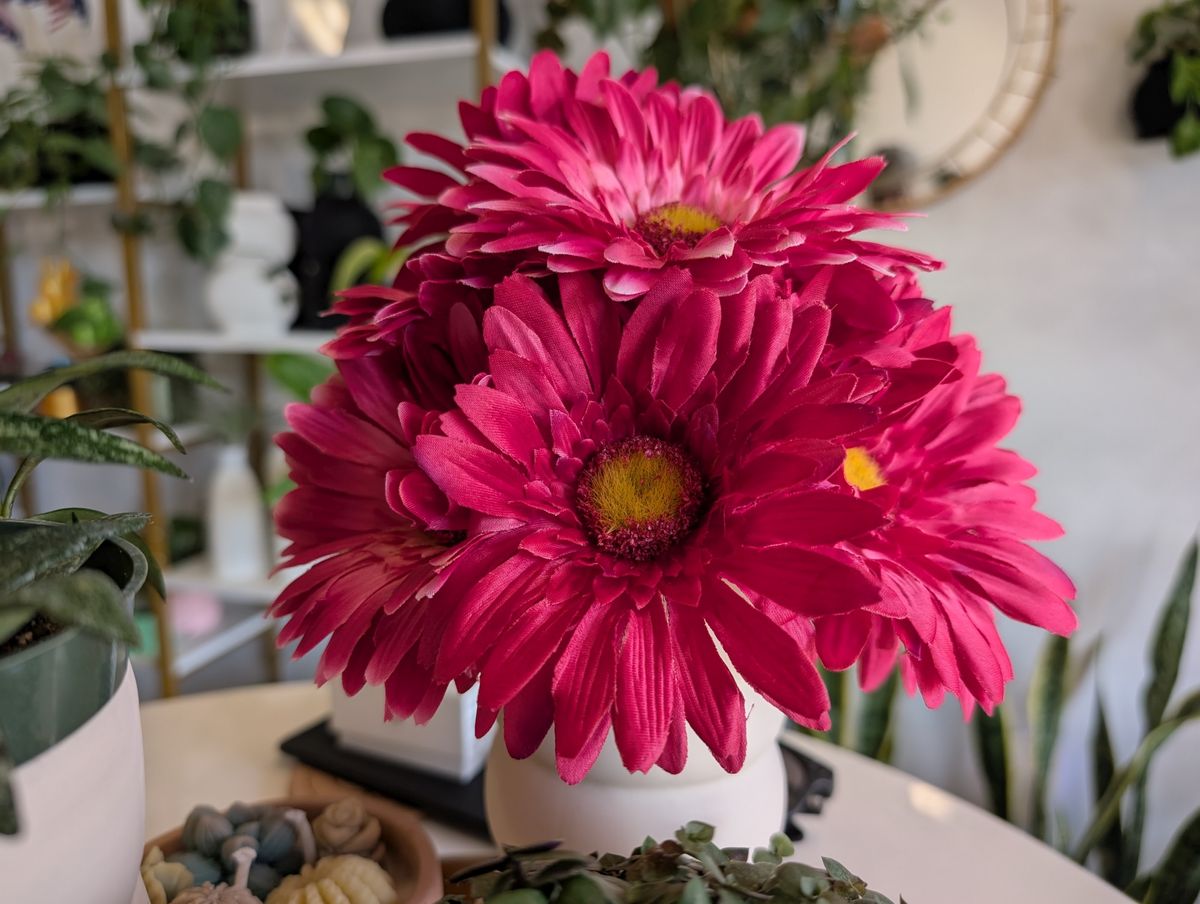 Google Pixel 9 Pro XL macro sample.
