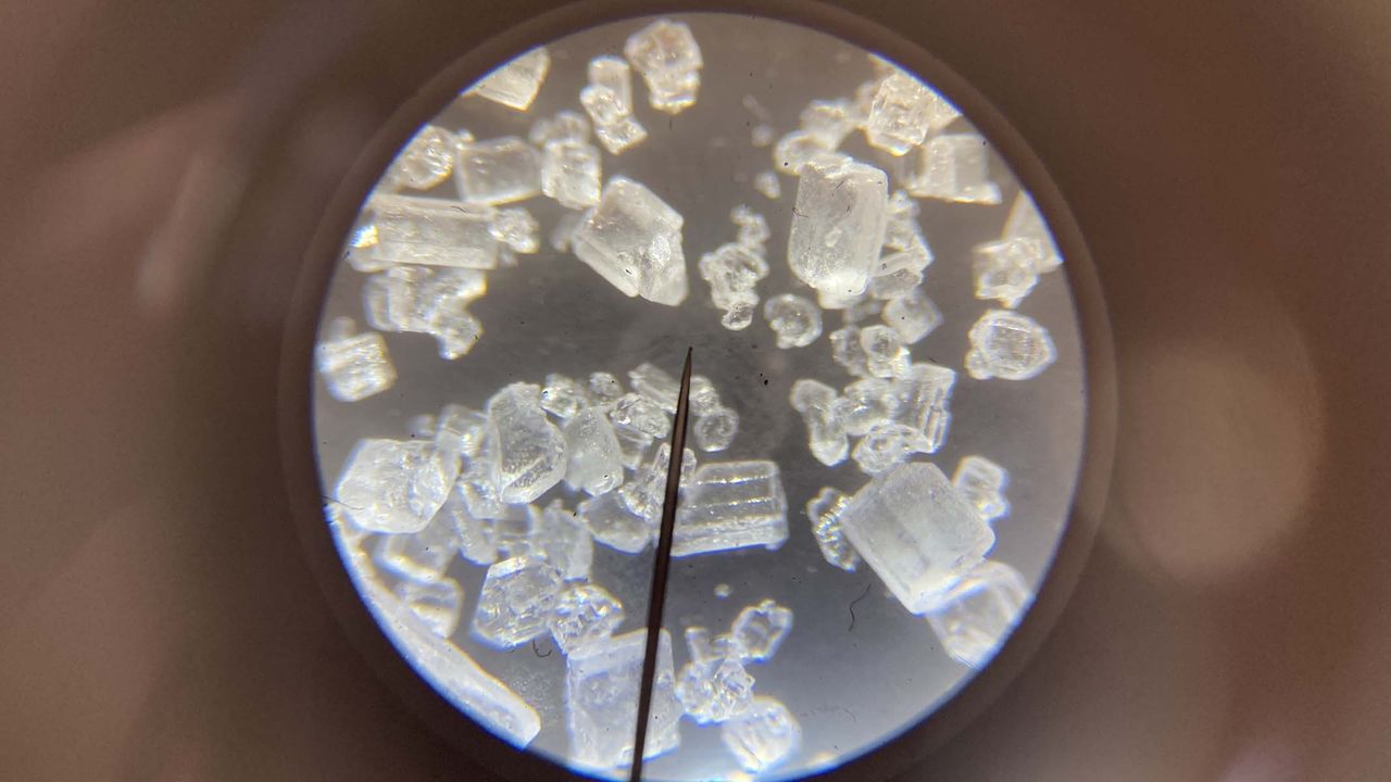salt crystals under a microscope