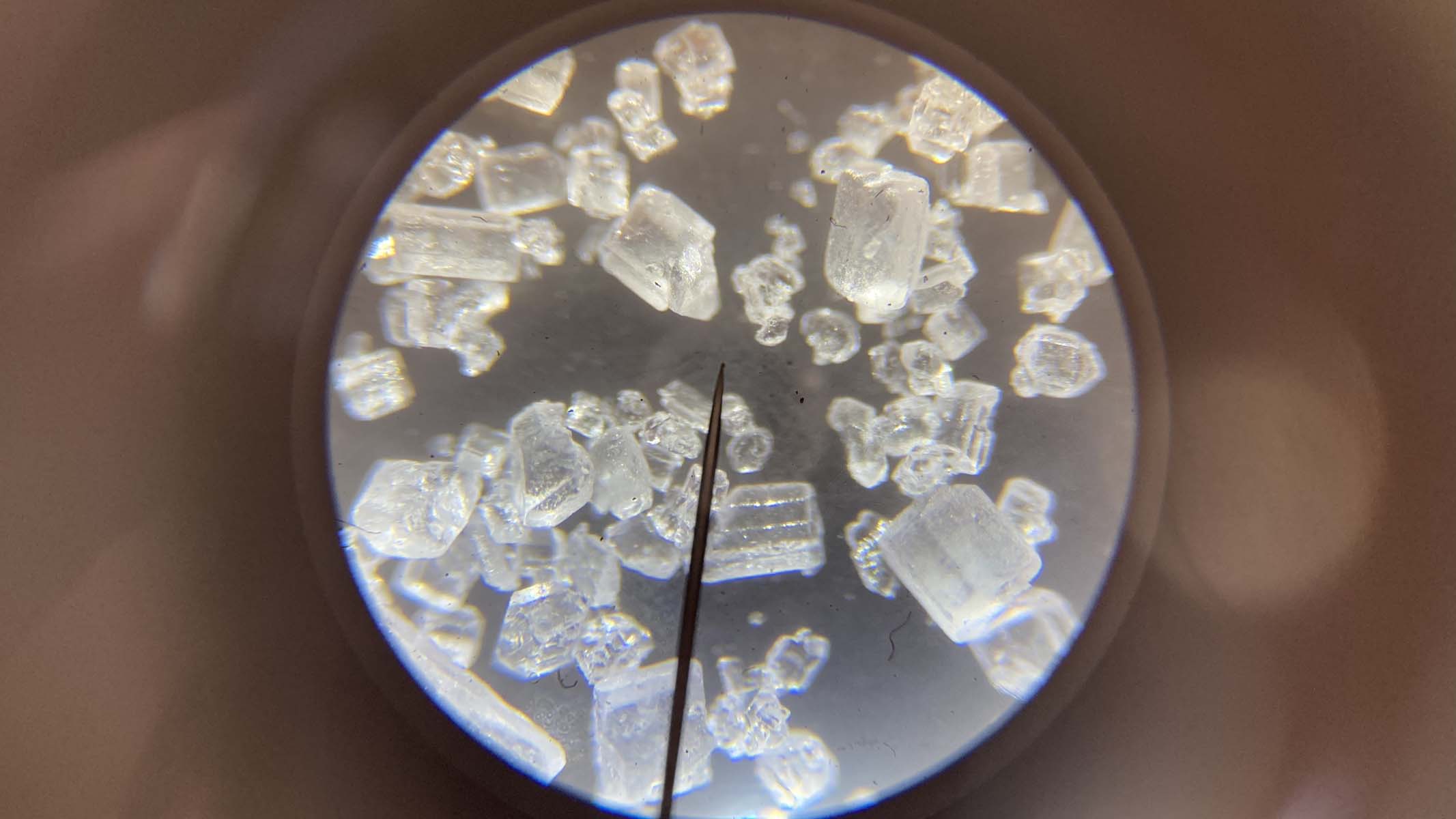 salt crystals under a microscope