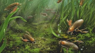 illustration of jurassic water bugs swimming with clusters of eggs on their legs 