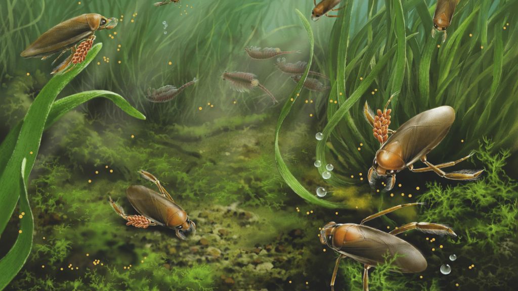 illustration of jurassic water bugs swimming with clusters of eggs on their legs 