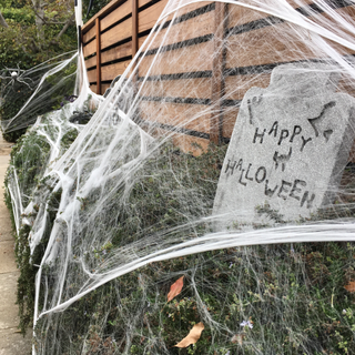 Happy halloween tombstone decor and fake spider web on hedge