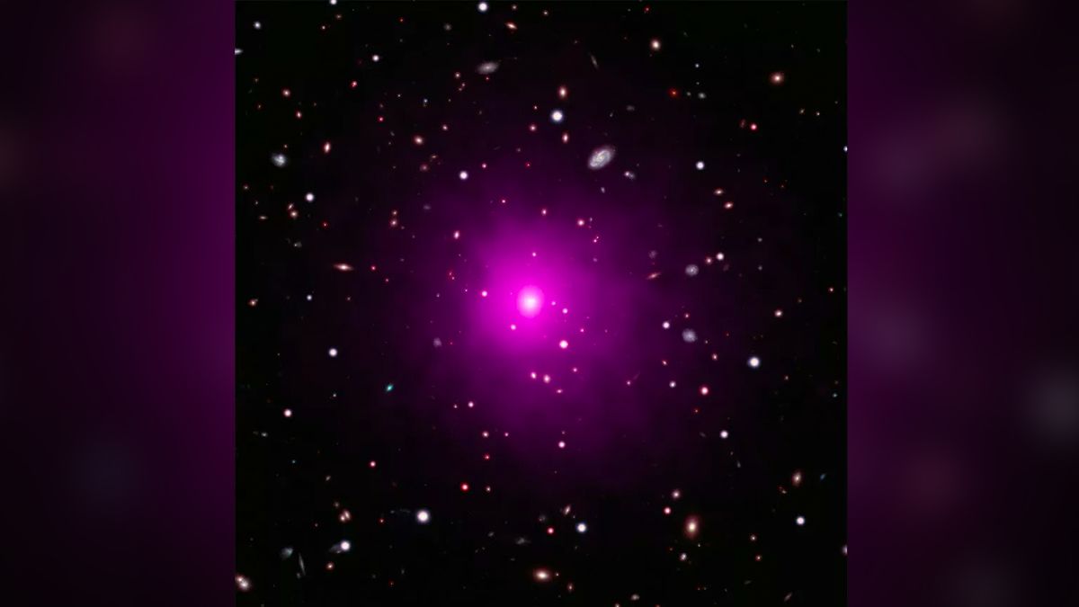 This composite image of the galaxy cluster Abell 2261 contains optical data from NASA&#039;s Hubble Space Telescope and Japan&#039;s Subaru Telescope showing galaxies in the cluster and in the background, and data from NASA&#039;s Chandra X-ray Observatory showing hot gas (colored pink) pervading the cluster. The middle of the image shows the large elliptical galaxy in the center of the cluster.