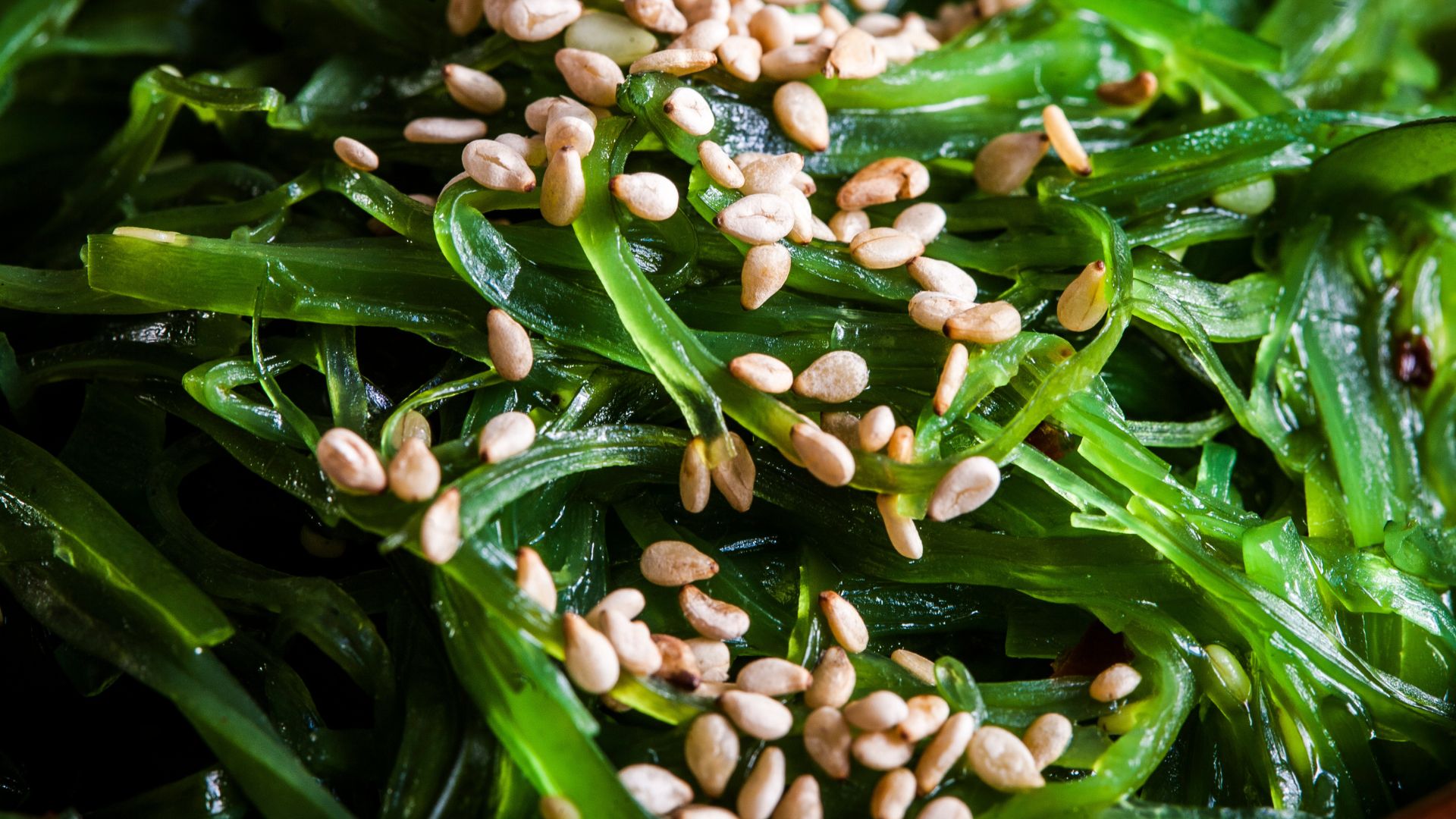 seaweed